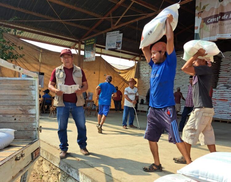 Fertilizantes para el Bienestar 2026: comienza distribución gratuita en 5 estados