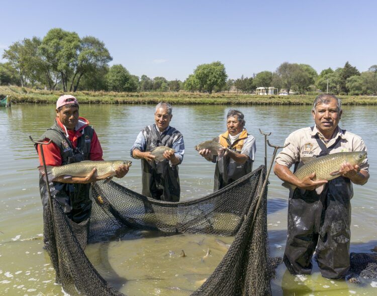 Bienpesca: Renovación de tarjetas para derechohabientes, del 9 al 22 de marzo en todo el país