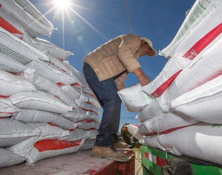 Fertilizantes para el Bienestar avanza con entregas en 25 estados